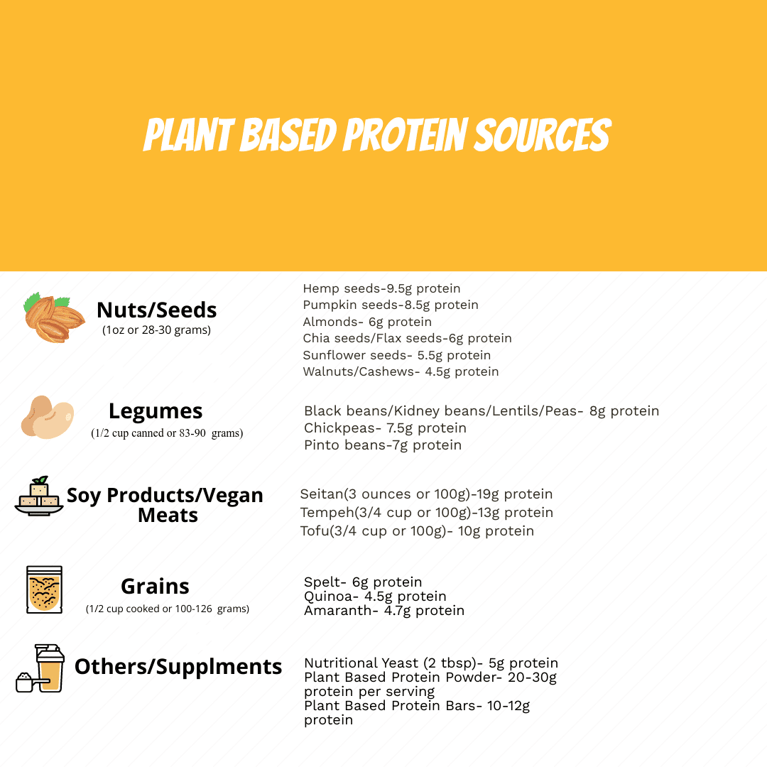 Where Do You Get Your Protein On A Plant Based Diet? - Athlete Training and  Health
